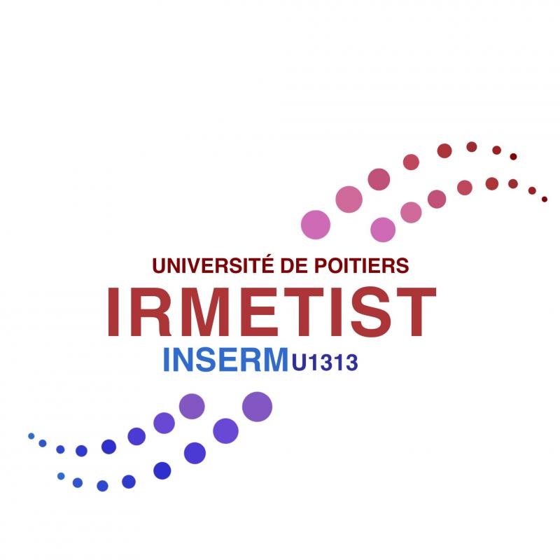 Logo IRMETIST